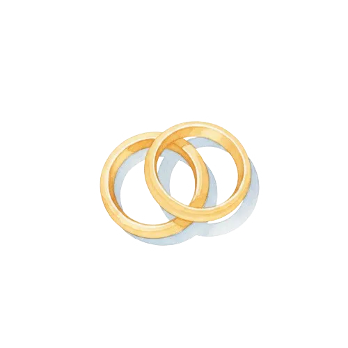 Programma della giornata